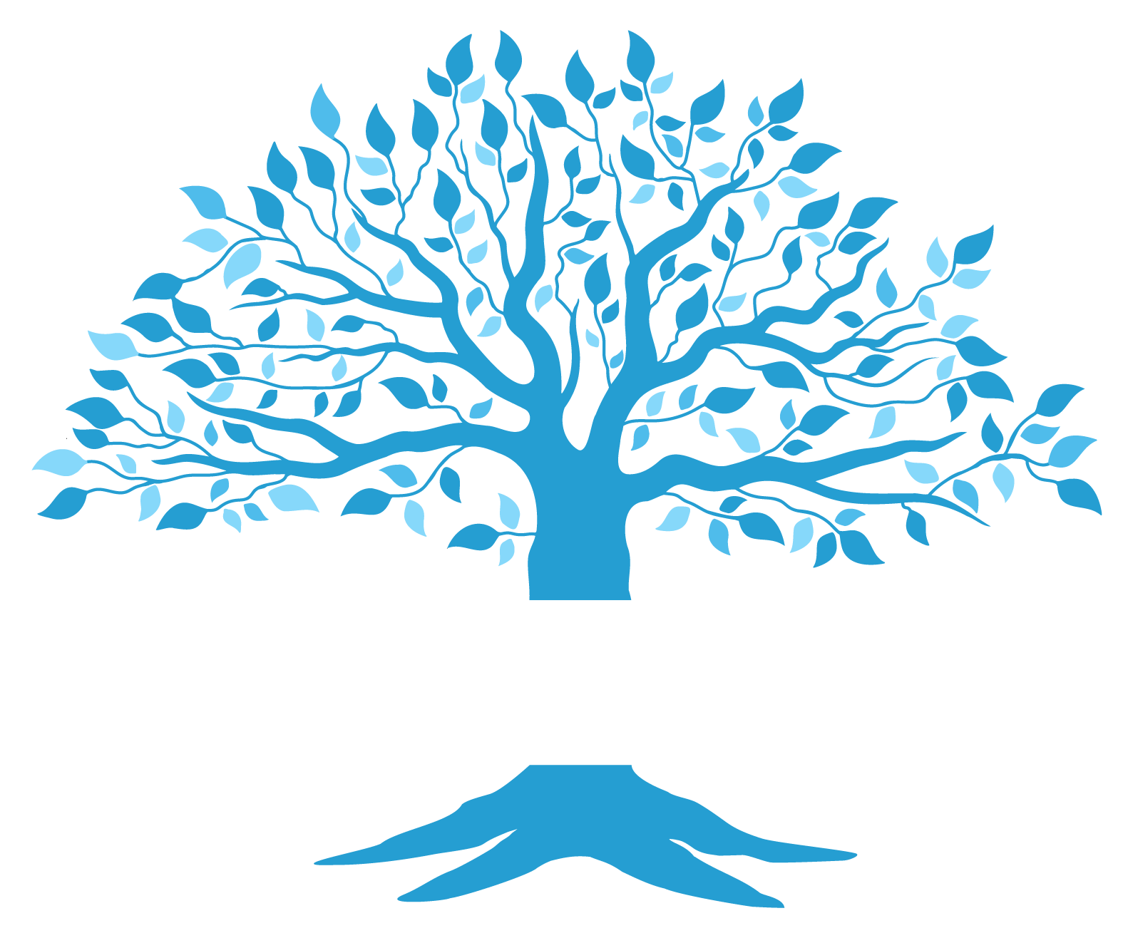 Community Capital Holdings Corp logo, white