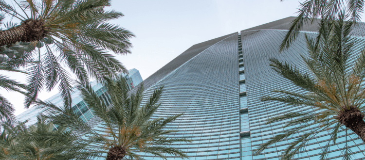 Fisheye View of Commercial Skyscraper and Palm Trees in South Florida