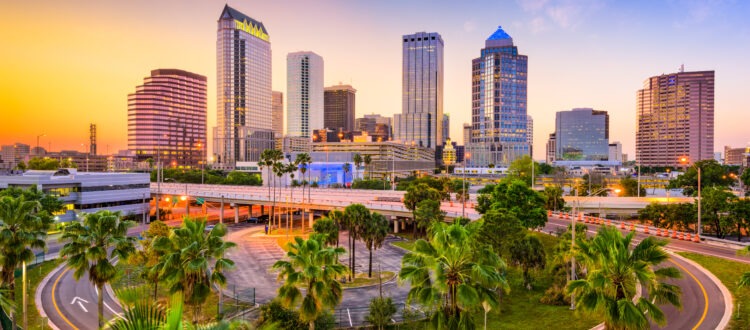 Downtown Tampa Florida Skyline with Palm Trees and Sunset